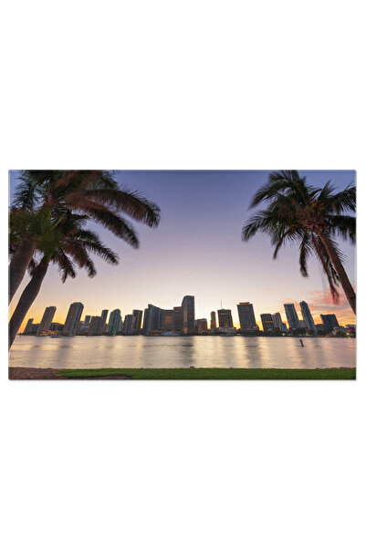 StoryGift Romania Tablou Canvas: Zgomotul Oraselului Miami - Vedere Urbana Pe...