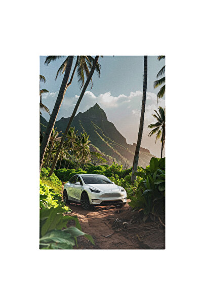 StoryGift Romania Tablou Canvas Tesla Mașina Electrică Pe Insula Pustie Peisa...