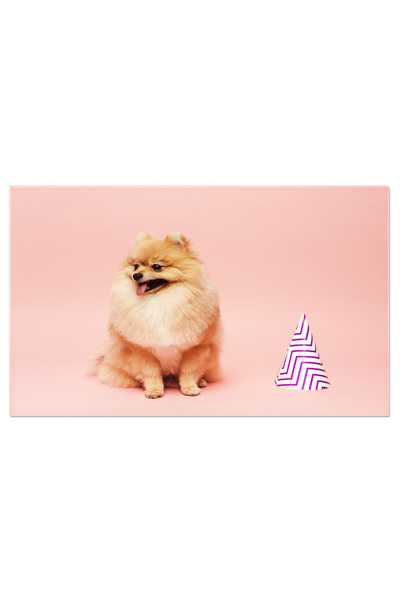 StoryGift Romania Tablou Canvas Spitz Pomeranian Dragut Langa Cornet De Petre...