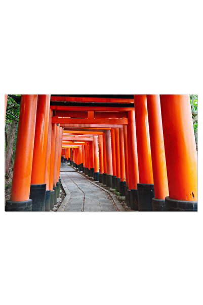 StoryGift Romania Tablou Canvas Sanctuarul Fushimi Inari Din Kyoto, Japonia Antic, Japonia, Religie, Sanctuar, Ca