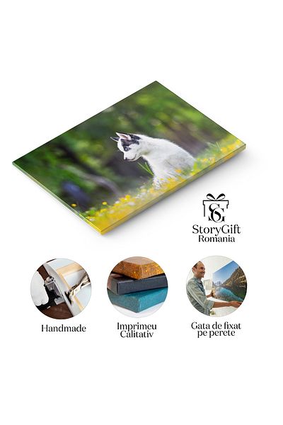 StoryGift Romania Tablou Canvas Caine Mic, Rasa Husky Siberian, Caine, Animal De Companie, Husky, Gradina, Natur
