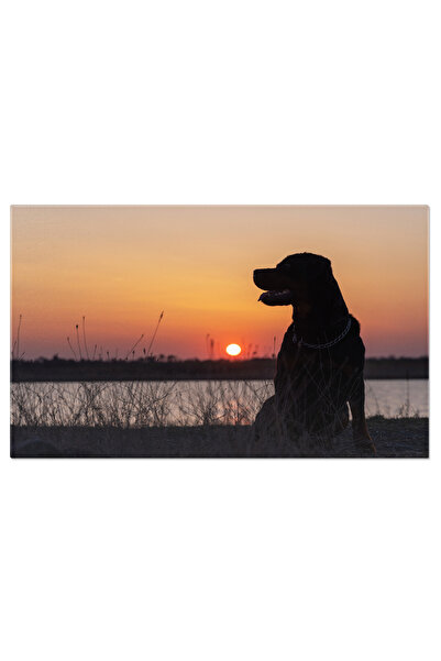 StoryGift Romania Tablou Canvas Rottweiler Privind Lacul, Lac, Rottweiler, Ca...