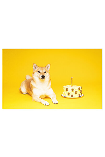 StoryGift Romania Tablou Canvas - Shiba Inu: Animal De Companie Japonez, Sarb...