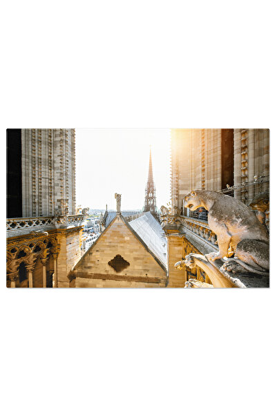 StoryGift Romania Tablou Canvas Catedrala Notre-dame In Paris Franta, Gargoyle, Piatra, Arhitectura, Religie, Bis