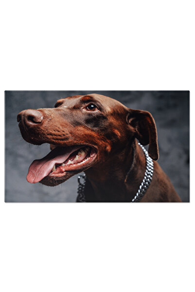 StoryGift Romania Tablou Canvas: Doberman Vigilent - Mandria Gardianului