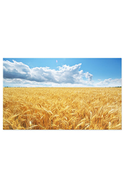 StoryGift Romania Tablou Canvas Camp De Grau La Apus, Agricultura, Fundal, Al...