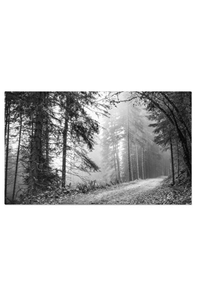 StoryGift Romania Tablou Canvas: Peisaj Incetosat In Dolomiti - Mistere Si Cu...