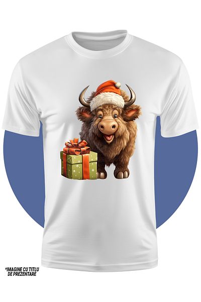 StoryGift Romania Tricou Copii Cu Un Zimbru Vesel Care A Primit Un Cadou De Craciun, Ilustratie, A Fost Cumi
