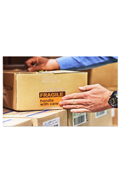 StoryGift Romania Tablou Canvas - Ambalare Si Industrie: Munca Din Umbra