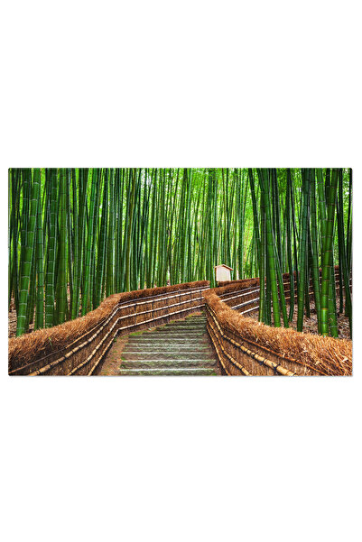 StoryGift Romania Tablou Canvas - Bamboo Grove In Arashiyama, Kyoto, Japonia ...