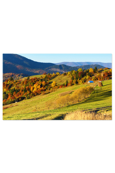 StoryGift Romania Tablou Canvas - Dimineata De Toamna, Padure Luminoasa Si Cer Deschis