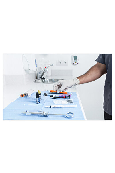 StoryGift Romania Tablou Canvas Persoana In Costum De Panda Activism, Animal,...