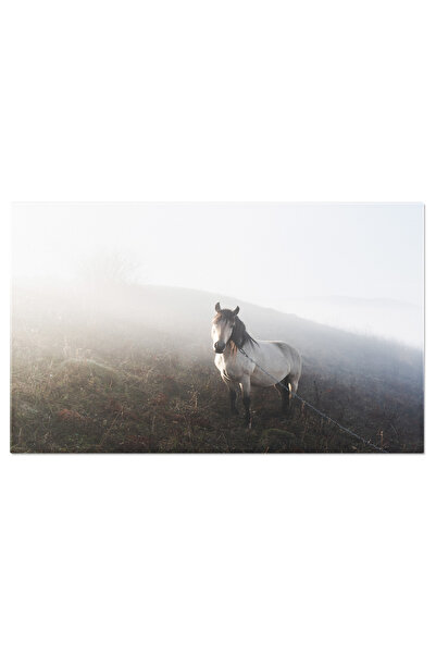 StoryGift Romania Tablou Canvas Cal Alb Singuratic In Lunca De Munte, Munte, Campie Peisaj Rural, Natura 2827