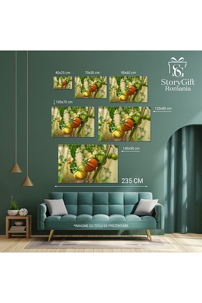 StoryGift Romania Tablou Canvas Ingrijire Naturala Pentru Rosii Pline De Sanatate Udarea In Ferma Plina De Prospe