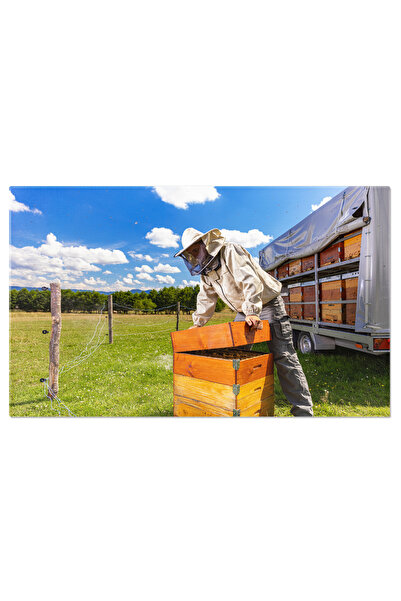 StoryGift Romania Tablou Canvas Apicultorul Un Om Cu Costum De Protectie Care...