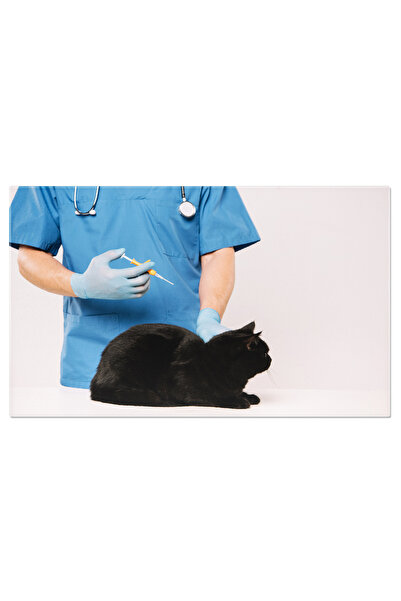 StoryGift Romania Tablou Canvas Veterinar Cu Seringa Si Medicament Adult, Ani...
