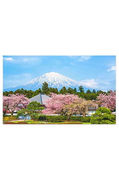 StoryGift Romania Tablou Canvas: Primavara In Japonia - Ciresii Infloriti, Flori, Peisaj