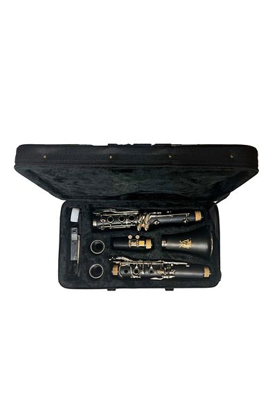 Parrot Parrot 7401N B-flat clarinet 17 keys and 6 rings
