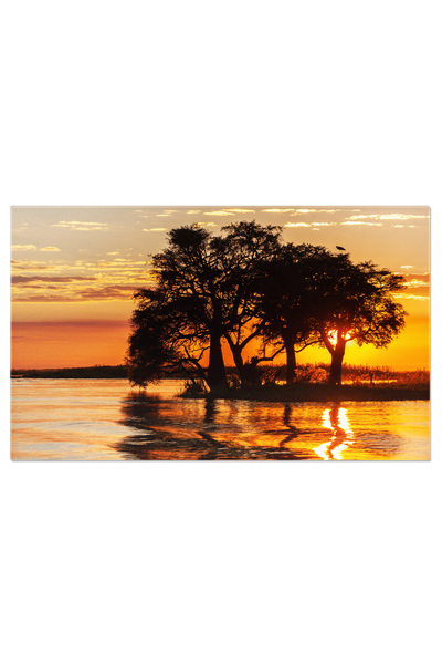 StoryGift Romania Tablou Canvas Apus La Parcul National Chobe Apus, Rau Chobe, Parcul National Chobe, Peisaj, Cal