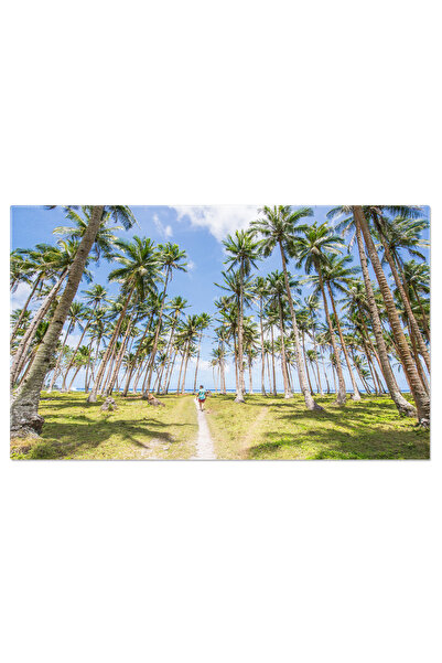 StoryGift Romania Tablou Canvas Padurea Tropicala De Cocos, Drona, Ferma, Cul...