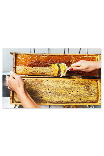 StoryGift Romania Tablou Canvas Taierea Fagurilor De Miere Sigilati Miere, Fa...