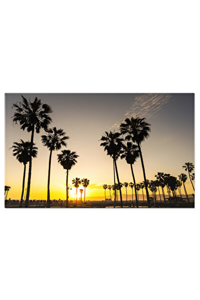 StoryGift Romania Tablou Canvas Palmieri Retroiluminati La Apus Palmieri, Apu...