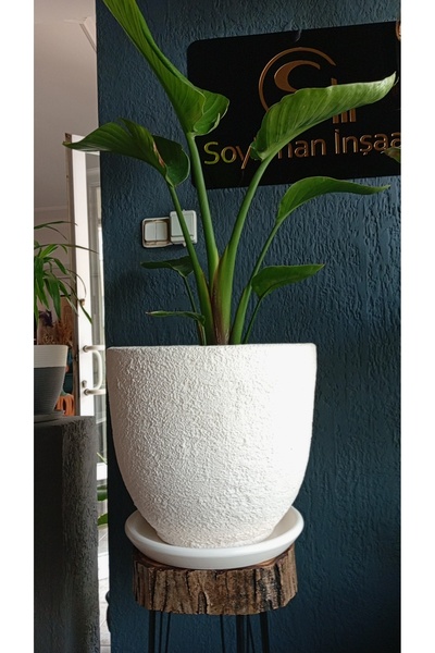 Home TOPRAK SERAMİK SAKSI