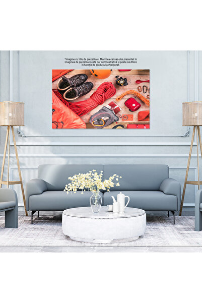 StoryGift Romania Tablou Canvas - Aventura Si Pregatire: Echipament De Catarare, Portocaliu: Siguranta, Anticipar