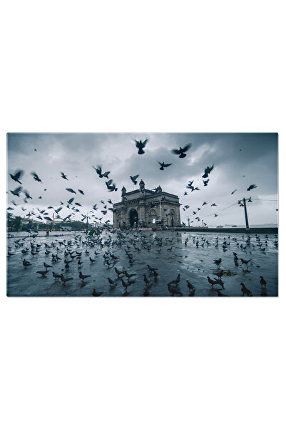 StoryGift Romania Tablou Canvas: Dramaticitate Urbana - Fotografie, Porumbei,...