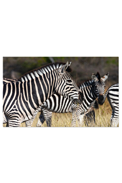 StoryGift Romania Tablou Canvas Pregatirea Pizzei Italiene Cu Pepperoni In Cu...