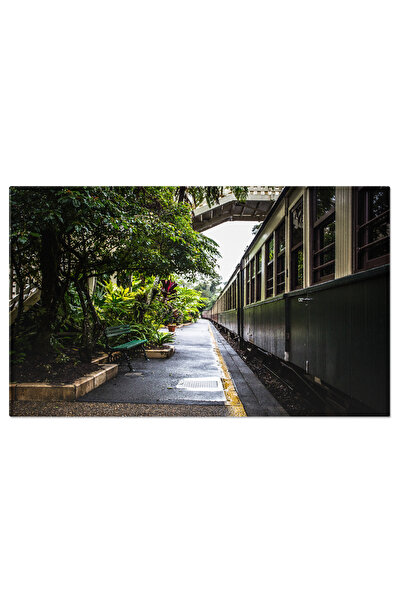 StoryGift Romania Tablou Canvas Statia De Tren Kuranda In Queensland, Australia, Arhitectura, Calatorie, Jungla,
