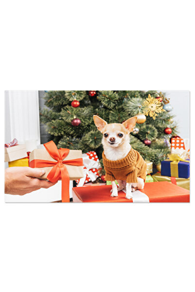 StoryGift Romania Tablou Canvas Cadou Impachetat Pentru Chihuahua Sarbatoare, Animale, Dragalas, Cadou, Mascota 3