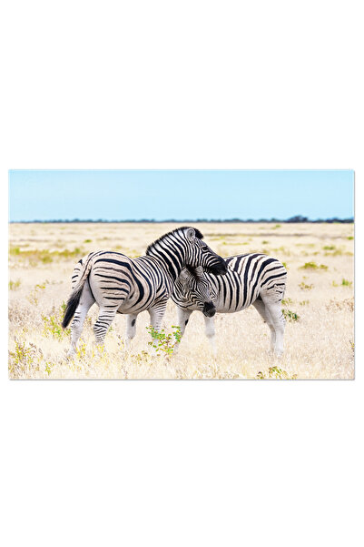 StoryGift Romania Tablou Canvas Familia De Zebre Pe Savana Uscata, Zebre, Natura Salbatica, Africa, Savana, Rezer