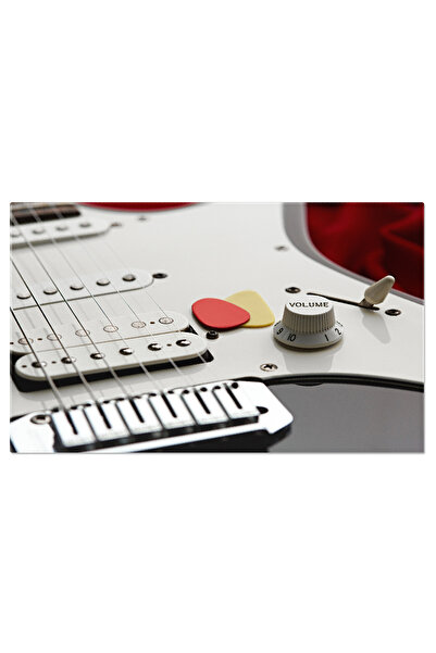 StoryGift Romania Tablou Canvas: Ritmuri Electrice In Nota Rock - Muzica, Ins...