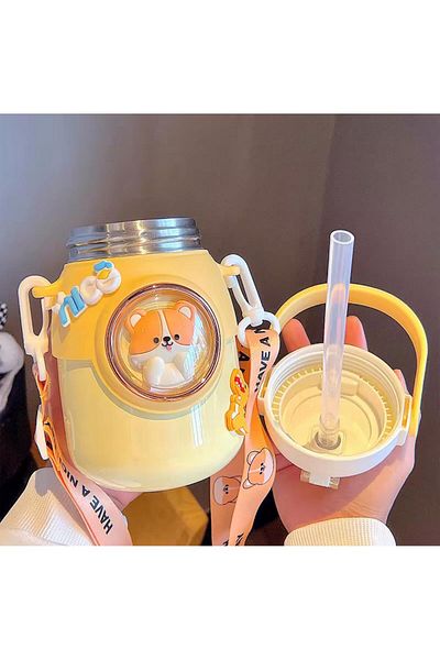 Kayra Stone Steel Straw Drinker - Double Layer - 700ml - with Strap - Bpa Free -