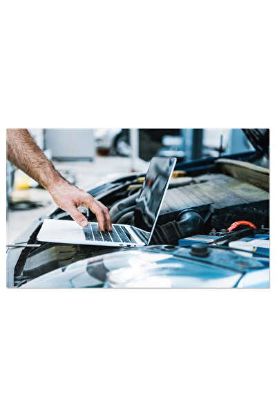 StoryGift Romania Tablou Canvas: Tehnologie Auto, Reparatie Digitala, Profesi...