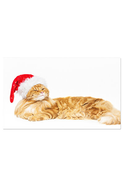 StoryGift Romania Tablou Canvas - Pisica Maine Coon: Juvenila Si Frumoasa