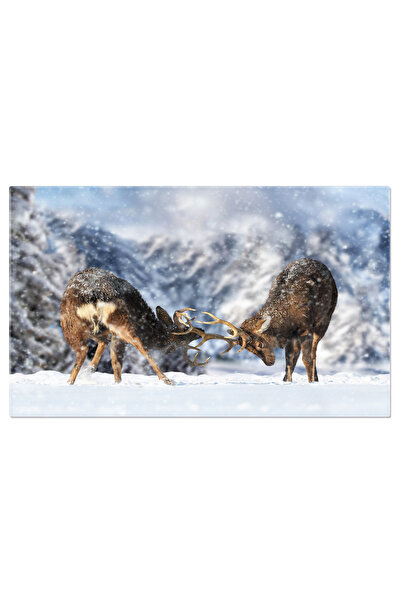 StoryGift Romania Tablou Canvas - Batalie Impresionanta In Lumea Animala: Lupta Cerbilor Cu Coarne Impresionante