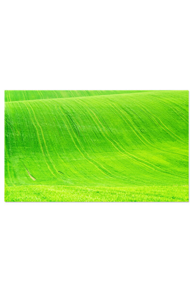 StoryGift Romania Tablou Canvas: Camp Verde Cu Curbe Naturale