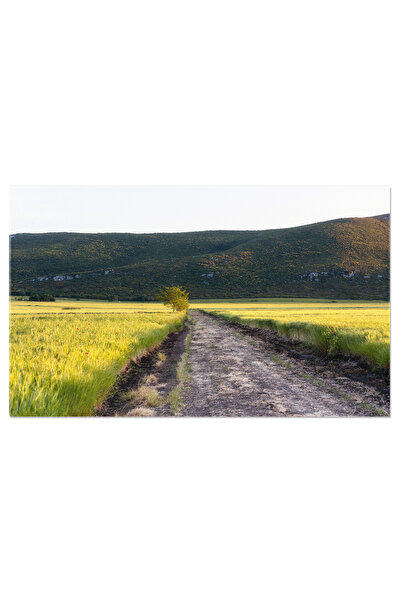 StoryGift Romania Tablou Canvas Drum Catre Munti, Peisaj, Munte, Campie, Calatorie 3779