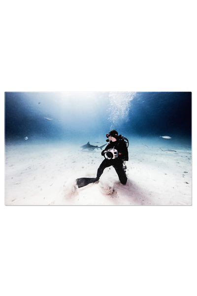 StoryGift Romania Tablou Canvas Vedere Subacvatica A Unei Fotografe Subacvati...