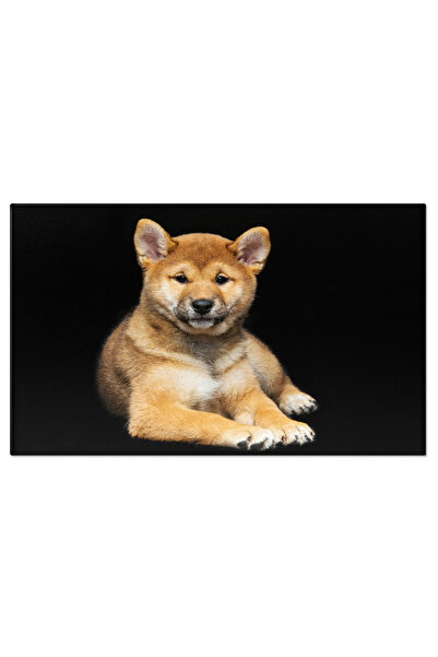 StoryGift Romania Tablou Canvas - Shiba Inu Vesel: Puiut Amuzant Cu Blana Pufosa