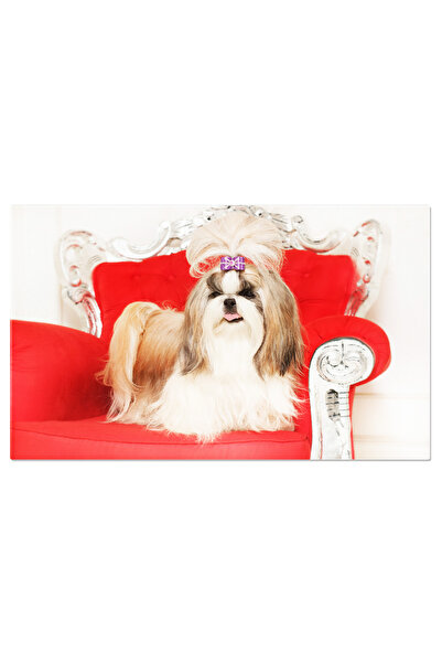 StoryGift Romania Tablou Canvas: Stil Si Frumusete - Caine In Salon De Infrumusetare