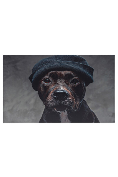 StoryGift Romania Tablou Canvas Cu Bullterrier In Palarie - Stil Si Personali...