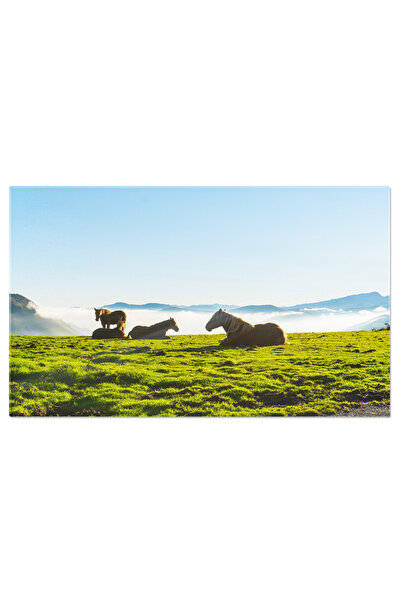 StoryGift Romania Tablou Canvas Cai Libere La Rasarit, Varful Mount Lar, Larr...