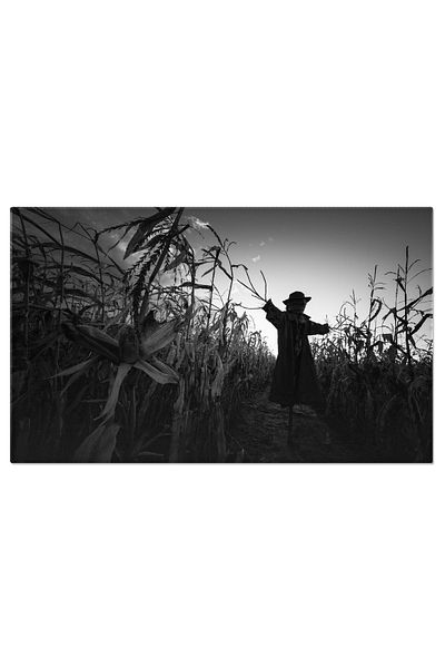 StoryGift Romania Tablou Canvas Scarecrow In Palarie Si Palton, Halloween, Camp, Infricosator, Legenda. 3884
