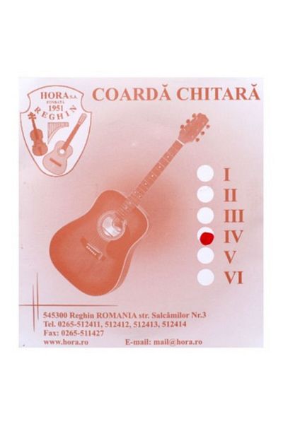 Hora String 4 RE Acoustic Guitar Hora Reghin