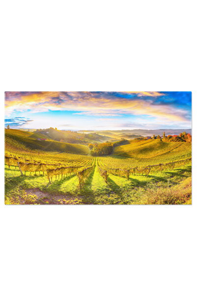 StoryGift Romania Tablou Canvas Peisaj Magnific Al Viei In Sudul Stiriei, Lan...