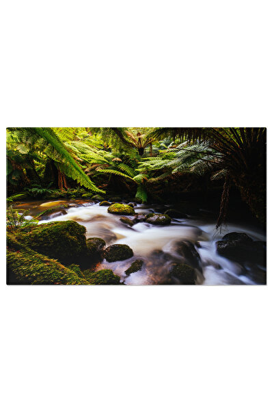 StoryGift Romania Tablou Canvas Padurea Mistica Din Tasmania: Raul Ascuns, Fa...