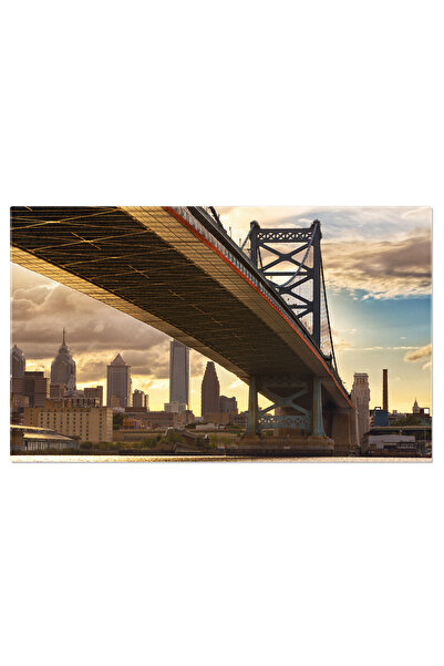 StoryGift Romania Tablou Canvas Fotografie Cu Corgi Jucandu-se In Nisip La Pl...